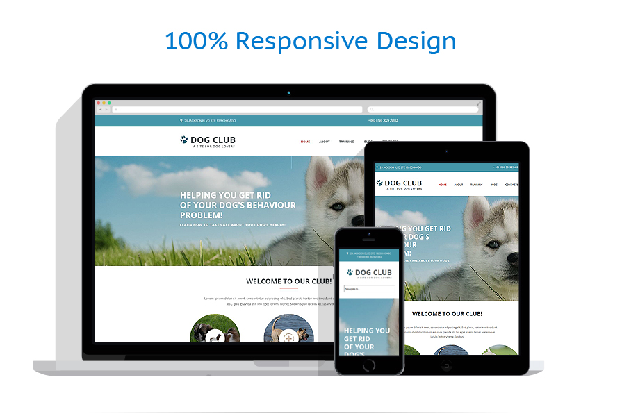 responsive layout templates