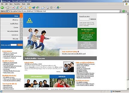 Website Template #5243