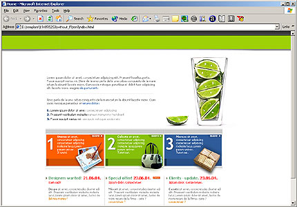 Website Template #5253