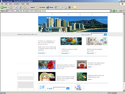 Website Template #5292
