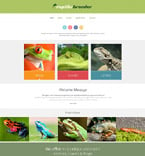 Website Template  #52600