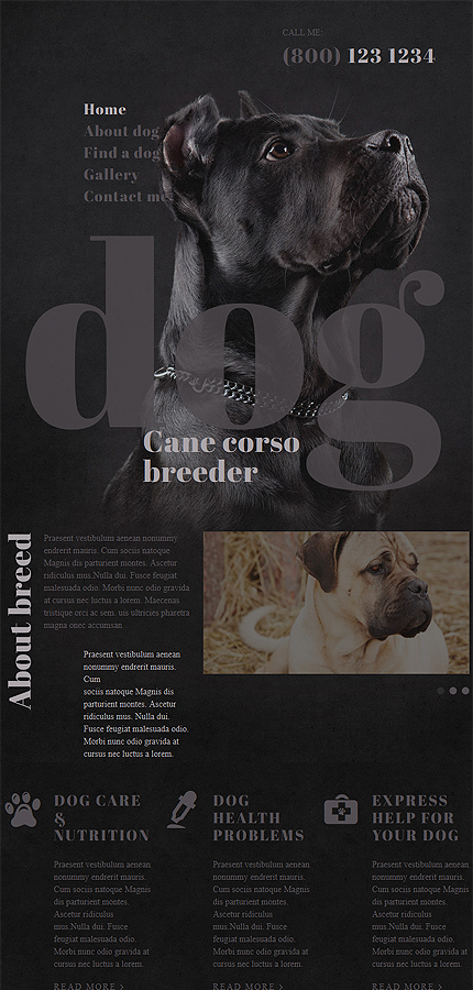 dog-breeds-website-template