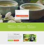 Landing Page Template  #55171