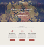 Landing Page Template  #55577