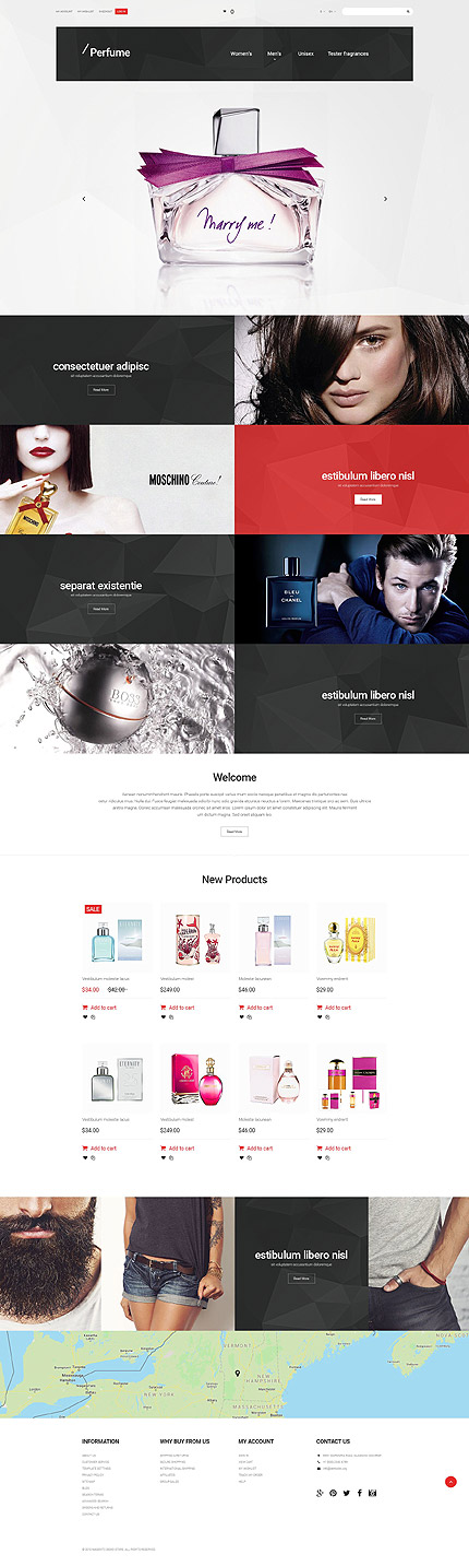 Magento Main Page  preview