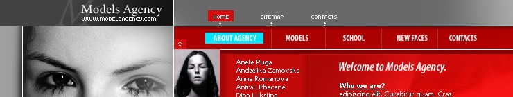 Website Template #5691
