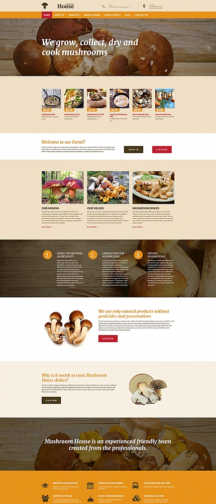 MotoCMS 3 Templates