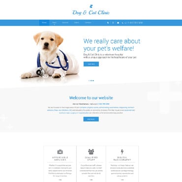 Homepage für Tierarzt erstellen lassen
