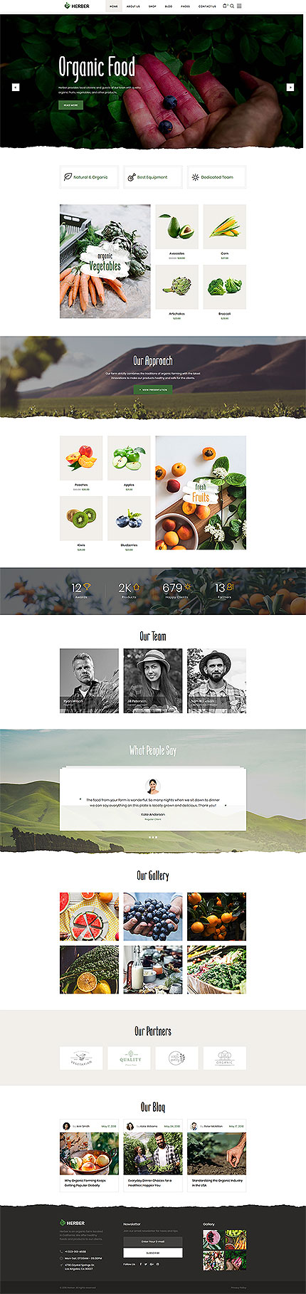 Website Templates