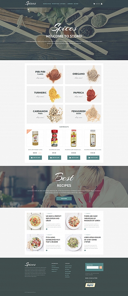 MotoCMS Ecommerce Templates