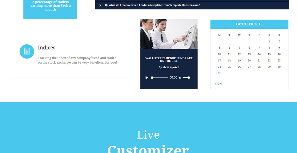 Forex theme wordpress