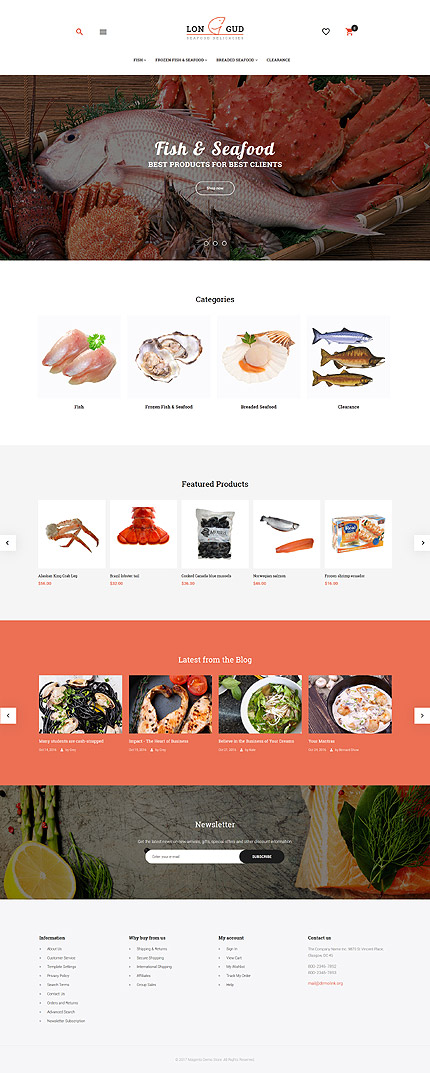 Magento Main Page  preview