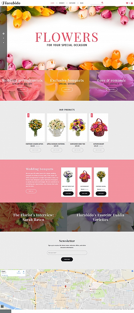 MotoCMS Ecommerce Templates