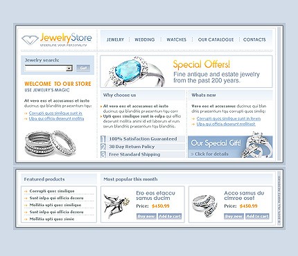 Website Template #6488