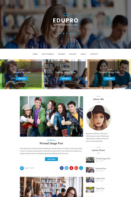 WordPress Themes
