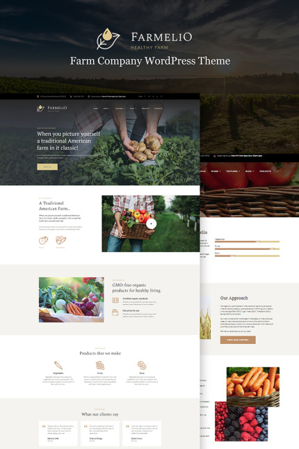 WordPress Themes