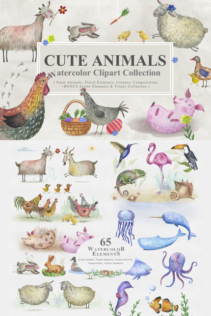 Illustrations