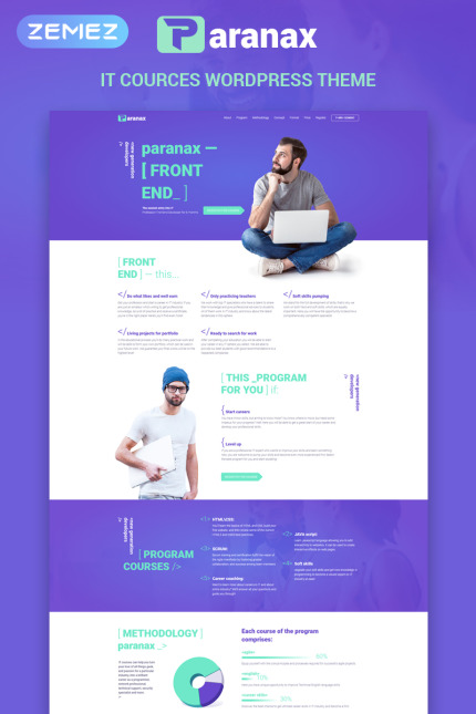 WordPress Themes