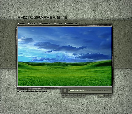 Website Template #7238