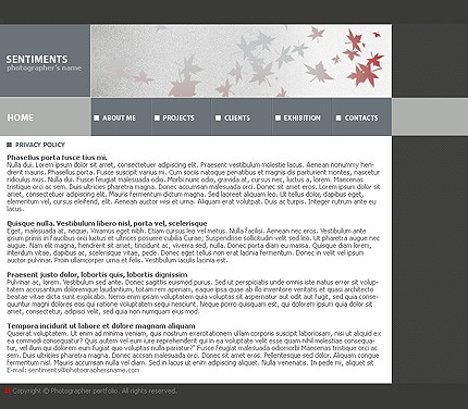 Website Template #7285