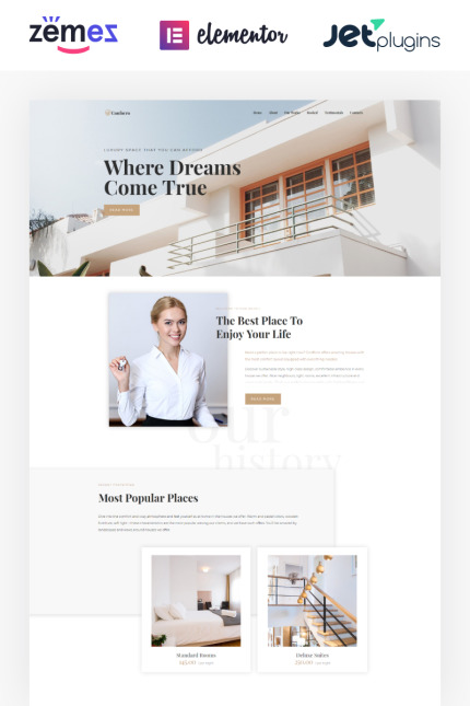 WordPress Themes