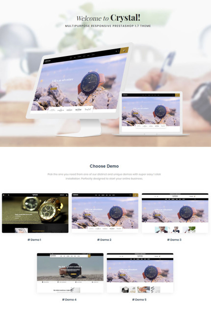 PrestaShop Themes