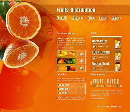 Website Template #7522