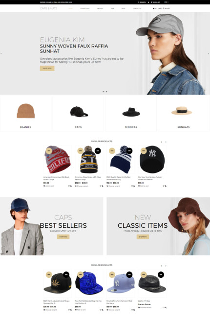 Shopify Themes