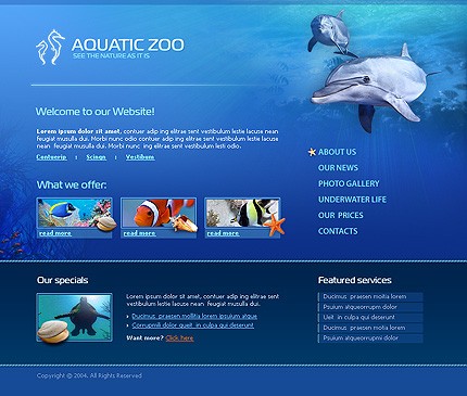 Website Template #7911