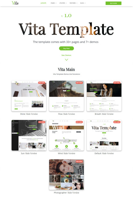 Website Templates