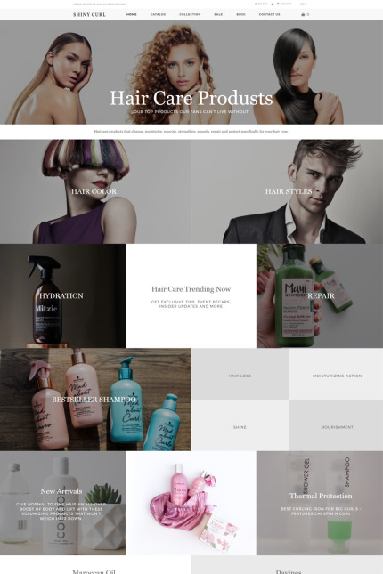 Shopify Themes