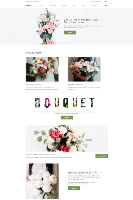 Shopify Themes
