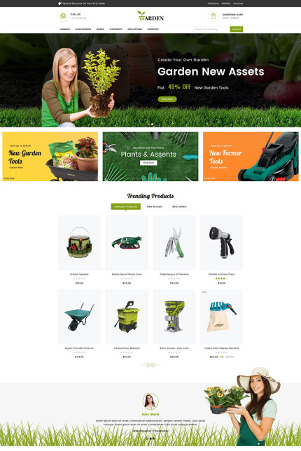 Shopify Themes