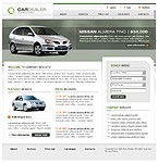 Website #8491