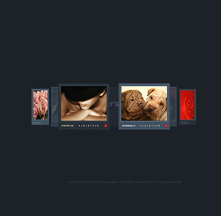 Website Template #8856