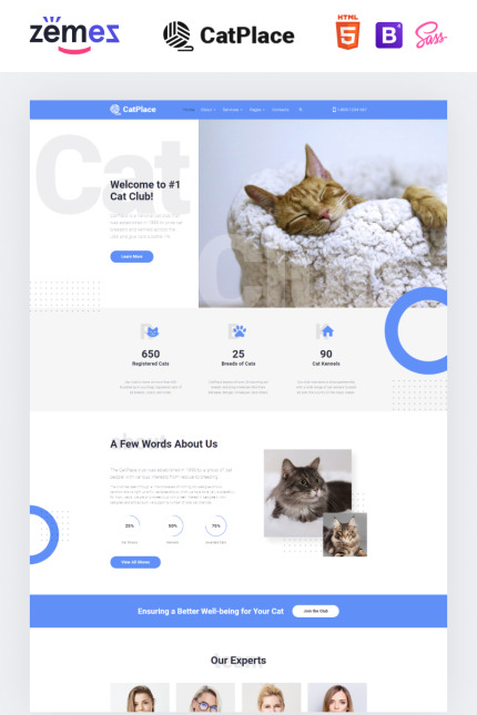 Website Templates