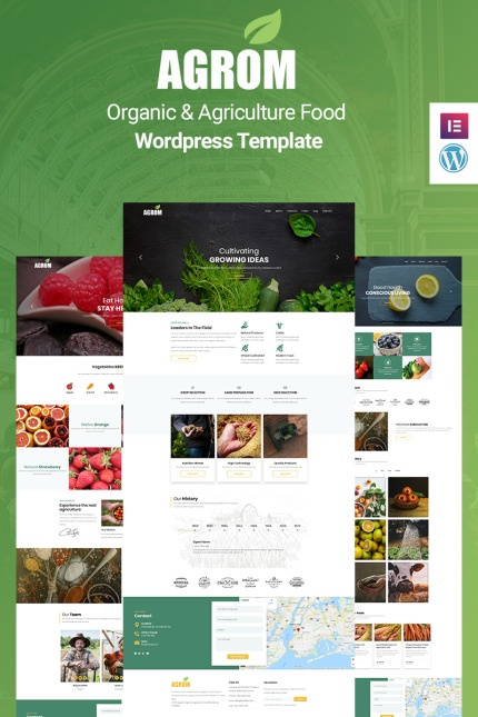 WordPress Themes