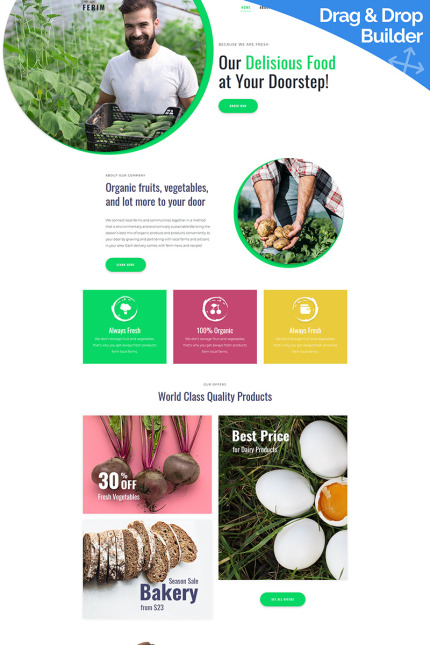 Moto CMS 3 Templates