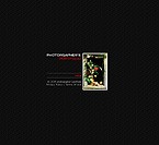 Flash Site 9313