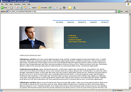 Website Template #9381