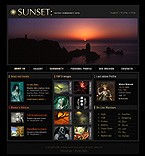 Website #9465