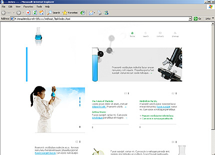 Website Template #9727