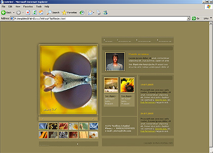 Website Template #9728