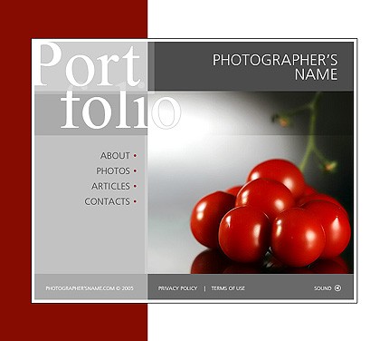 Website Template #9734
