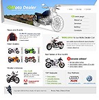 Website #9991