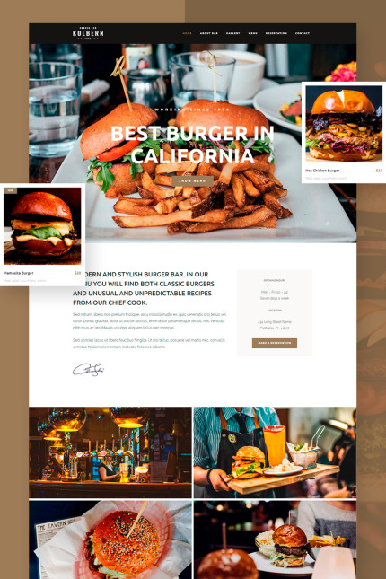 WordPress Themes
