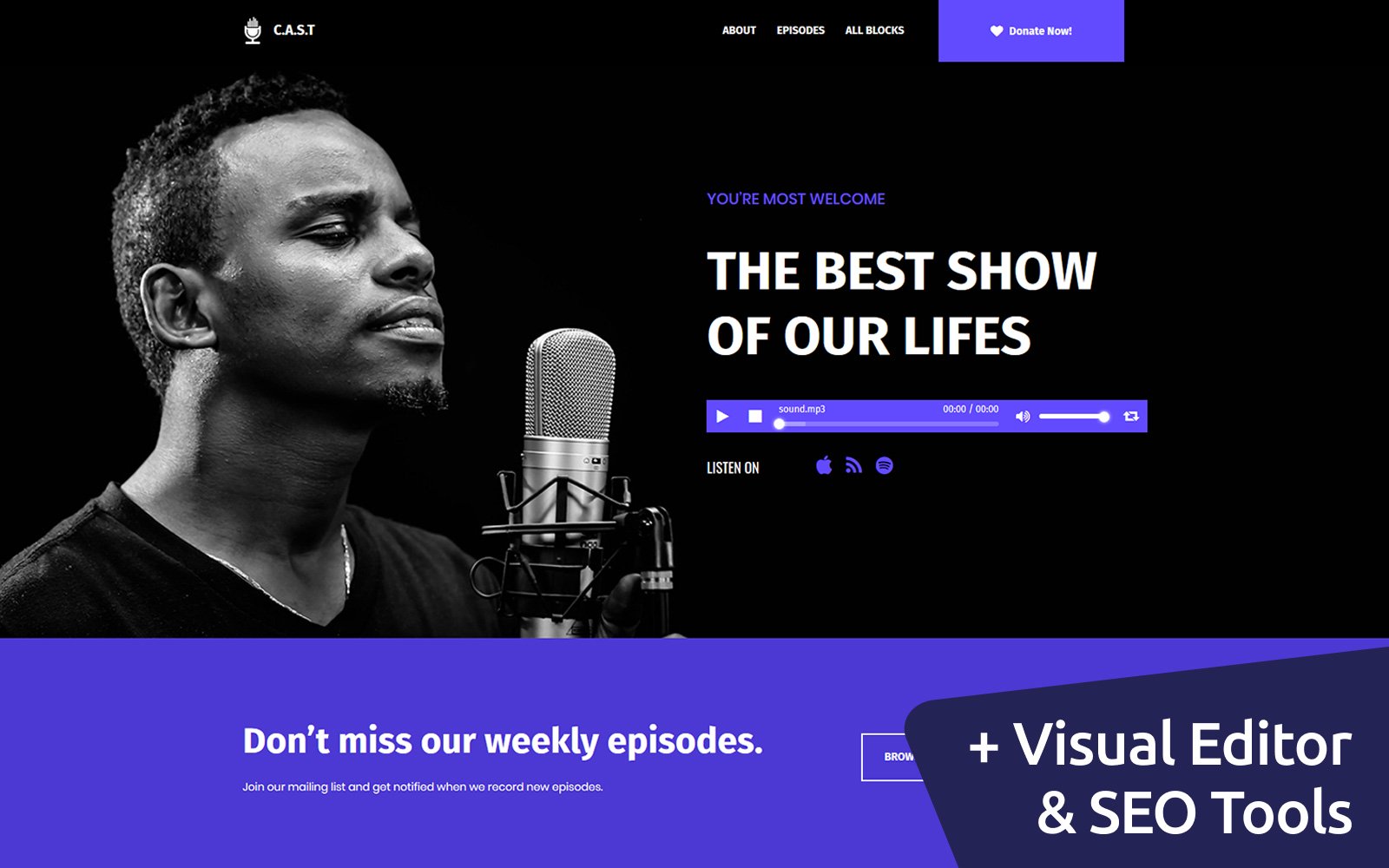 C.A.S.T. - Podcast Landing Page Template