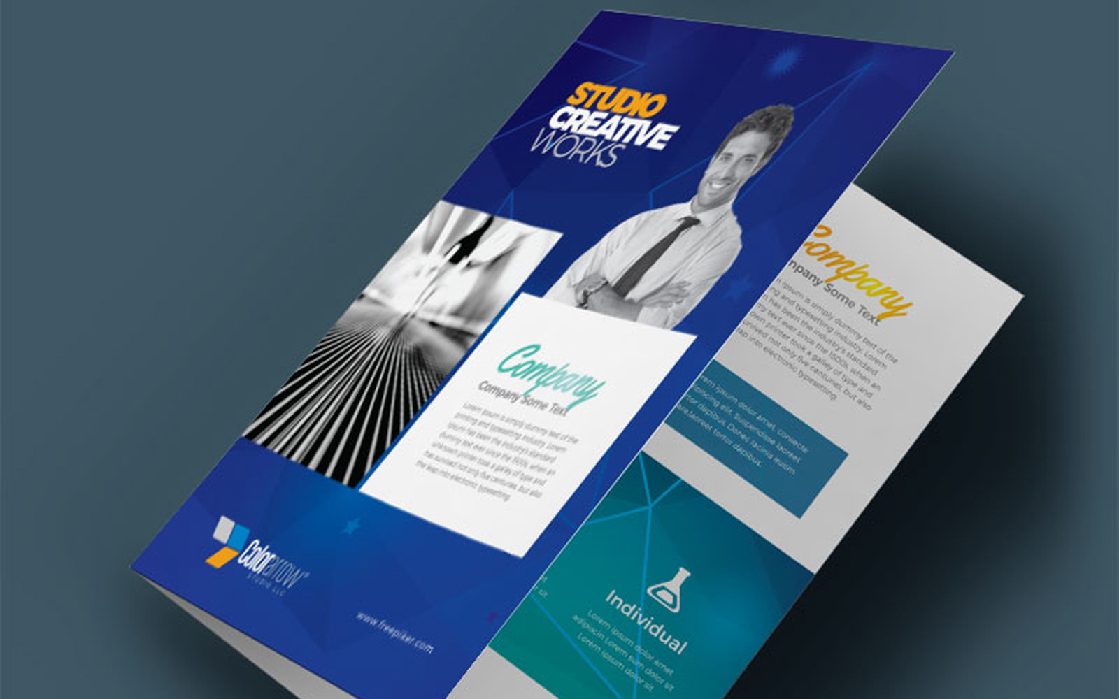 Egyptian Blue BiFold Brochure With Building Elements