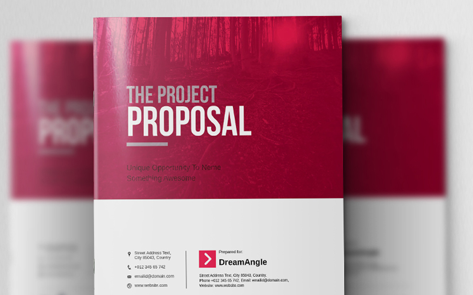 Dream Angle Corporate Project Proposal Resume Template