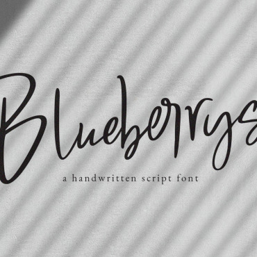 Handwritten Logo Fonts 101434